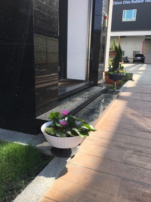 魚花共生 / 低腳杯